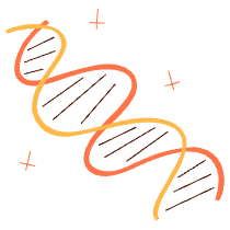 Dna Illustration from Manchester Set