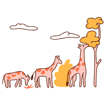 Evolution Illustration from Manchester Set