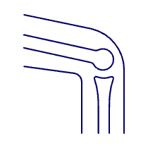 Bone Joint 1 Illustration from UX Line Set