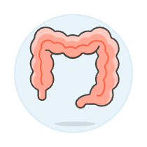 Intestine Illustration from UX Colors Set