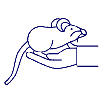 White Mouse 1 Illustration from UX Line Set