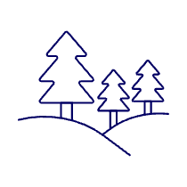 Forest Terrain Illustration from UX Line Set
