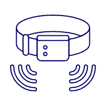 Smart Collar Illustration from UX Line Set