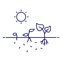 Growth Stage Illustration from UX Line Set