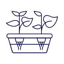 Hydroponic Box Illustration from UX Line Set