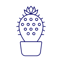 Cactus Illustration from UX Line Set