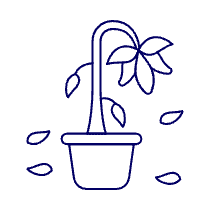 Dead Plant Illustration from UX Line Set