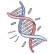 Dna 1 Illustration from Bruxelles Set