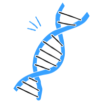 Dna 2 Illustration from Brooklyn Set