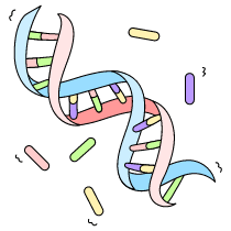 Dna 3 Illustration from Bruxelles Set