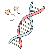 Dna 4 Illustration from Bruxelles Set