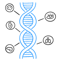 Dna Illustration from Brooklyn Set