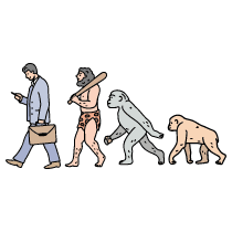 Evolution 1 Illustration from Bruxelles Set