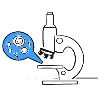 Microscope 1 Illustration from Brooklyn Set