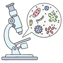 Microscope 1 Illustration from Bruxelles Set