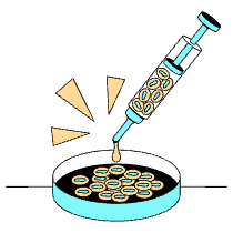 Stem Cell Research Illustration from London Set