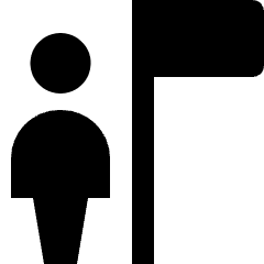 User Action Flag Icon from Nova Solid Set