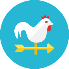 Wind Vane Icon from Kameleon Colors Set