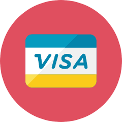 Visa Icon from Kameleon Colors Set