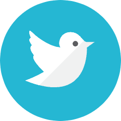 Twitter 2 Icon from Kameleon Colors Set