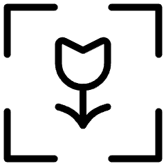 Vision Comfort Focus 2 Icon from Ultimate Light Set