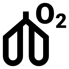 Sharp line icon of stylized lungs with a central airway and O2. Used for VO2 max, breathing, fitness, and health.