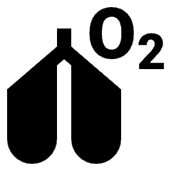 Vo2 Max Fill Icon from Sharp Fill - Streamline Material Set