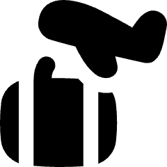 Baggage Airplane Icon from Flex Solid Set