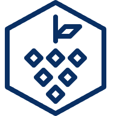 Sign Grape Icon from Cyber Line Set