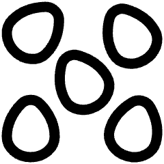 Allergens Sesame Icon from Plump Line Set