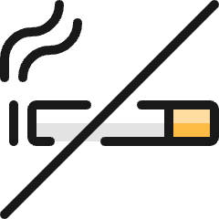 Allowances No Smoking Icon from Ultimate Colors Set