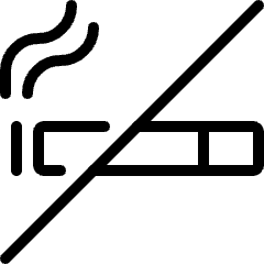 Allowances No Smoking Icon from Ultimate Light Set