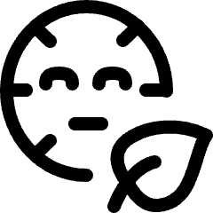 Beauty Massage Organic Icon from Ultimate Regular Set