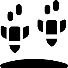 Amazon Web Service Network Firewall Rocket Icon from Ultimate Bold Set