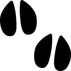 Animal Print Bird Icon from Ultimate Bold Set