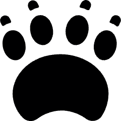 Animal Print Paw 1 Icon from Ultimate Bold Set