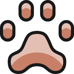 Animal Print Icon from Ultimate Colors Set