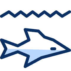 Dolphin Icon from Cyber Duotone Set