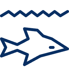 Dolphin Icon from Cyber Line Set