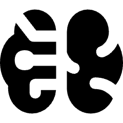 Artificial Intelligence Brain Icon from Flex Solid Set