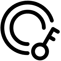 Access Token Authentication Coin 2 Icon from Ultimate Regular Set
