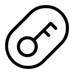 Access Token Authentication Oval Icon from Ultimate Light Set