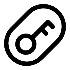 Access Token Authentication Oval Icon from Ultimate Regular Set