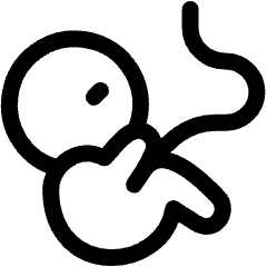 Fetus Icon from Ultimate Regular Set