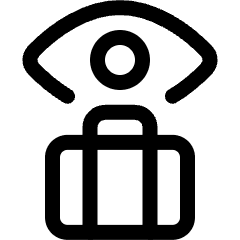 Baggage Check Icon from Ultimate Regular Set