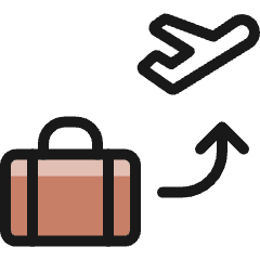Baggage Check In Plane Icon from Ultimate Colors Set