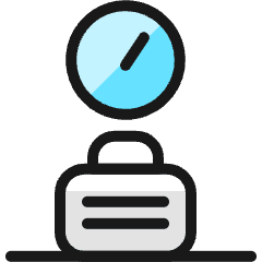 Baggage Weight Icon from Ultimate Colors Set