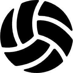 Volleyball Ball Icon from Ultimate Bold Set