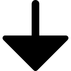 Triangle Arrow Down Large 1 Icon from Core Remix Set