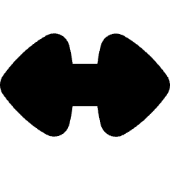 Triangle Arrow Horizontal Large Icon from Flex Solid Set